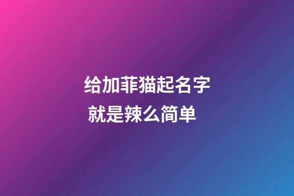 给加菲猫起名字 就是辣么简单